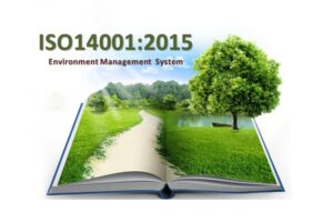 What are the ISO 14001:2015 Environmental Management Principles?