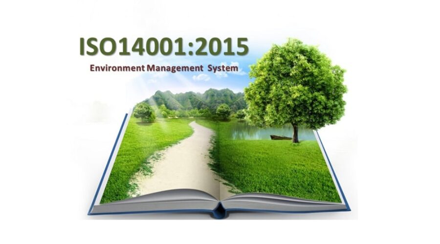 What are the ISO 14001:2015 Environmental Management Principles?